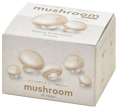 ②gd970_kinoko_02white_mushroom.jpg