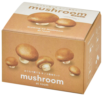 ①gd970_kinoko_01brown_mushroom.jpg