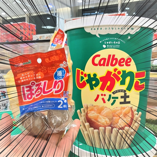 【仙台店】カルビーのおいもをおうちで育てよう！