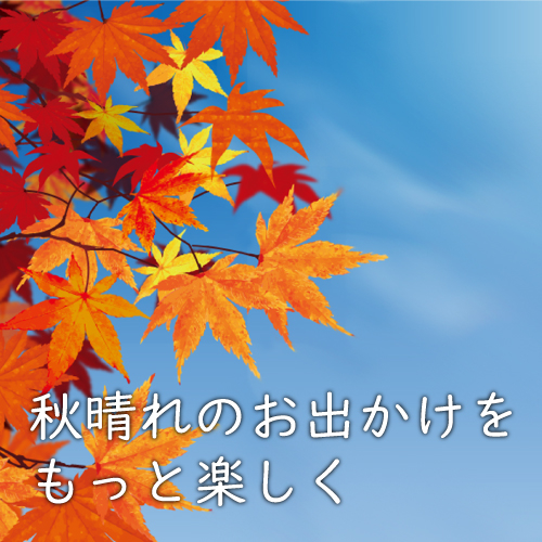 【仙台店】秋晴れのお出かけをもっと楽しく